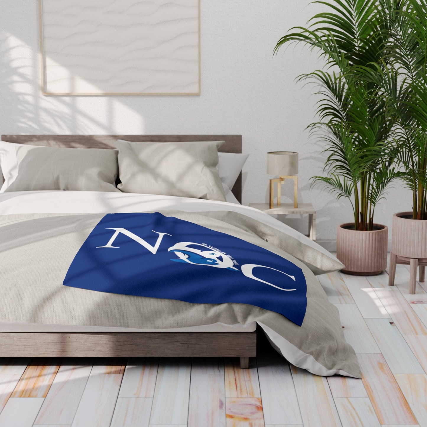 Plaid 50 years NOC