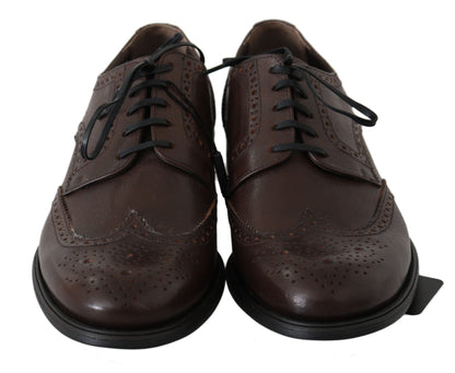 Dolce & Gabbana Brown Leather Brogue Derby Dress Shoes
