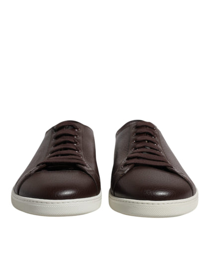 Dolce & Gabbana Brown Low Top Men Saint Tropez Sneakers Shoes