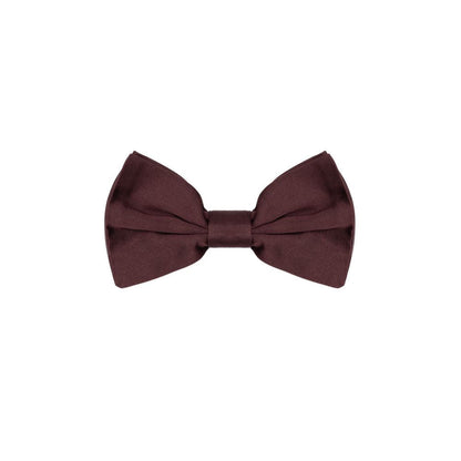 Dolce & Gabbana Burgundy Silk Bowty