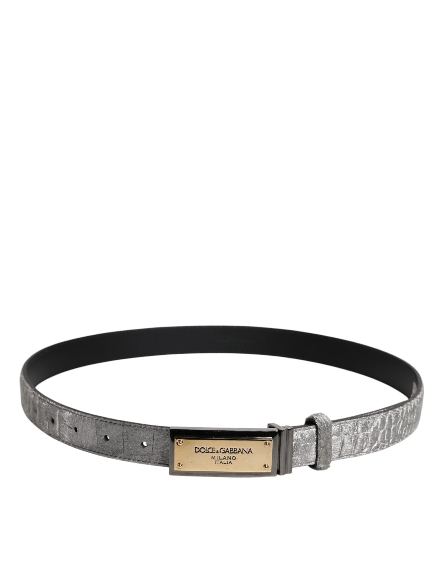 Dolce & Gabbana Silver Classic Gold Logo Plaque Buckle Belt