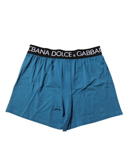 Dolce & Gabbana Blue Logo Waist Regular Boxer Shorts Underwear