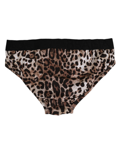 Dolce & Gabbana Brown Cotton Leopard Logo Midi Brief Underwear