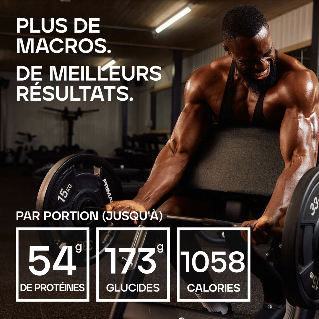 Bulk 1000 Mass Gainer